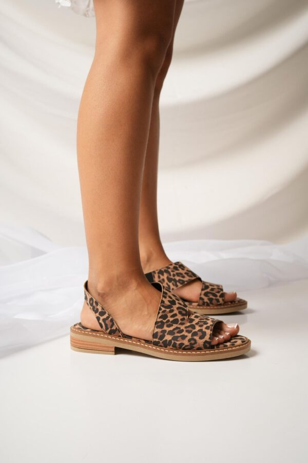 Ilaria - Imagen 2